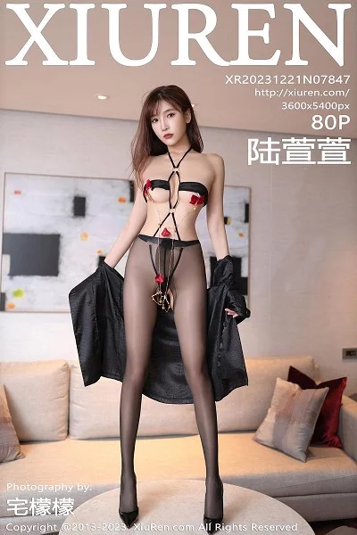 摄影部的故事动画全部免费观看